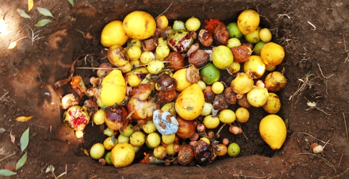 Capa de tierra y residuos orgánicos - Imagen