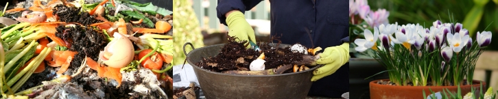 Hacer compost - Imagen